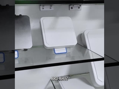 BRD-KH02 Διαβάτης UHF RFID μεγάλης εμβέλειας / UHF RFID ολοκληρωμένος αναγνώστης με κεραία 6dbi Διαβάστε απόσταση 6M